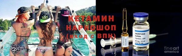 дмт Ельня