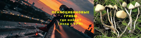 дмт Ельня