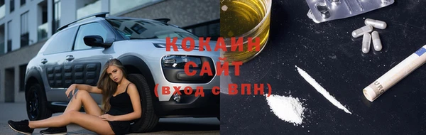 дмт Ельня
