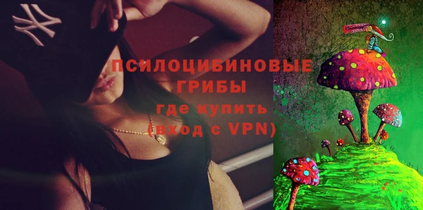 дмт Ельня