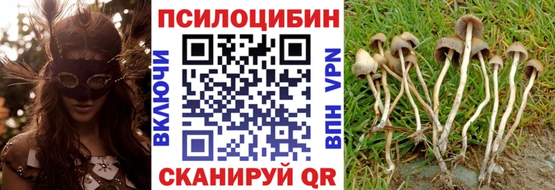 где купить наркоту  Любим  Псилоцибиновые грибы мухоморы 
